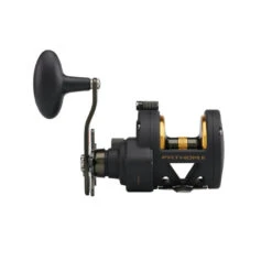 PENN FATHOM II STAR DRAG - Multirolle 12 PENN FATHOM II STAR DRAG - Multirolle -Sportfischergeschäft PENN Fathom II Star Drag Reel 25 2019 alt3uD4jjkS0Hw8bZ 1280x1280
