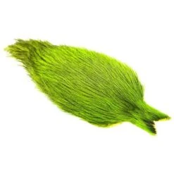 Whiting Coq De Leon Cape -Sportfischergeschäft Whiting 20rooster 20 20Coq 20de 20leon 20Badger 20 20Chartreuse