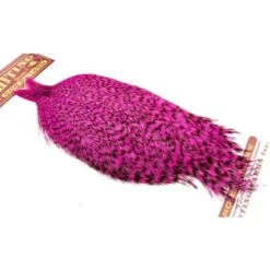 Whiting Coq De Leon Cape -Sportfischergeschäft img 9403 kopier