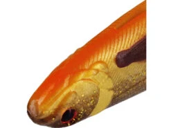 Westin SHADTEEZ Slim 18cm - 27cm - Blister -Sportfischergeschäft p165 x3 large 772879 1280x1280