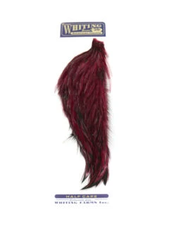 Whiting 1/2 Rooster Cape -Sportfischergeschäft whiting half cape claret