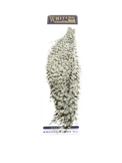 Whiting 1/2 Rooster Cape -Sportfischergeschäft whiting half cape grizzly