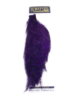 Whiting 1/2 Rooster Cape -Sportfischergeschäft whiting half cape grizzly purple