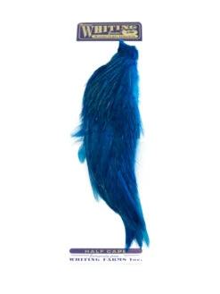 Whiting 1/2 Rooster Cape -Sportfischergeschäft whiting half cape kingfisher blue