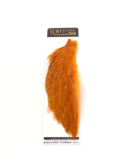 Whiting 1/2 Rooster Cape -Sportfischergeschäft whiting half cape orange